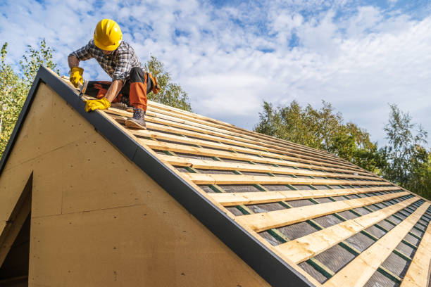 Best Roof Maintenance Services  in Pine City, MN