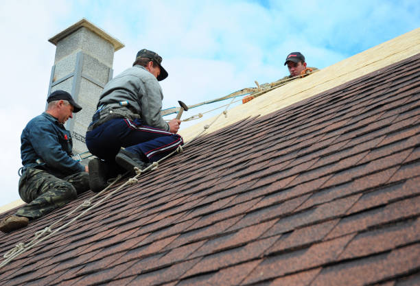 Best Roof Repair Estimates  in Pine City, MN